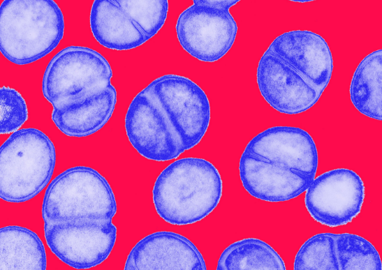 量少價低：抗生素行業(yè)將面臨重大危機