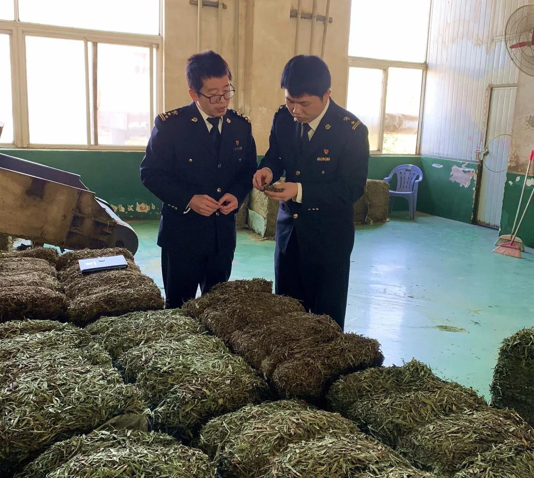 穩(wěn)外貿(mào)在身邊 | 政策落到實處，百姓甜到心里