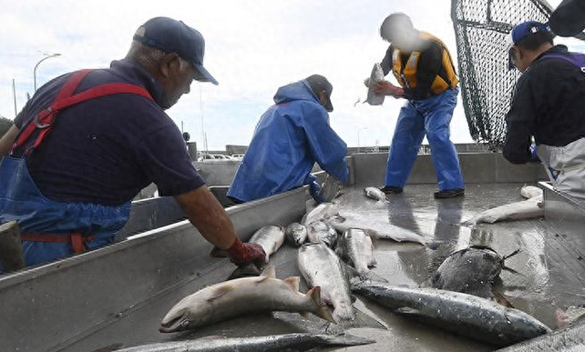 海關(guān)總署：即日起，有條件恢復(fù)日本水產(chǎn)品進(jìn)口